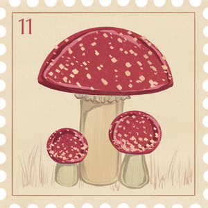 Vintage Flowers & Insects Postage Stamps Fly Agaric